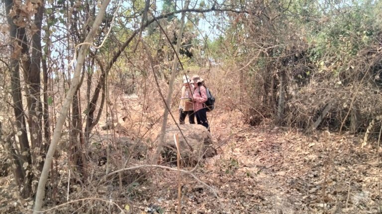 Biodiversity Mapping in Betegaon Land